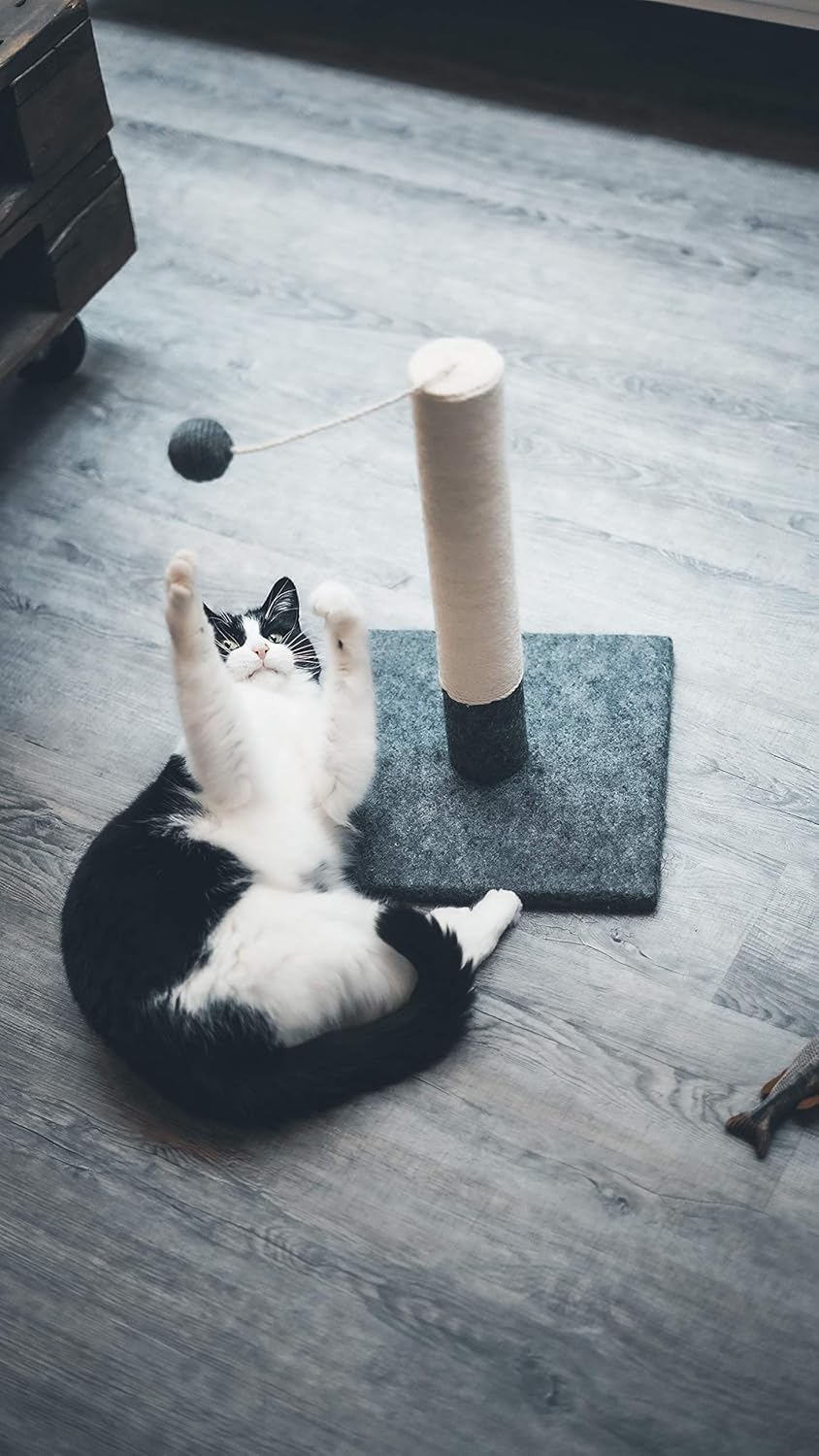 rascador alto para gatos persas